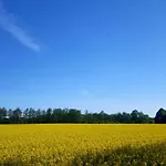 Urte In , Kap Arkona Rügen *