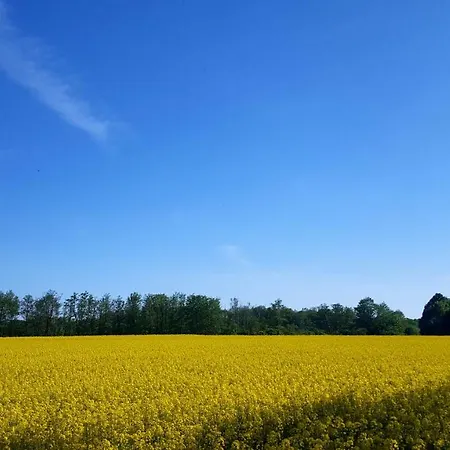 Urte In , Kap Arkona Rügen *