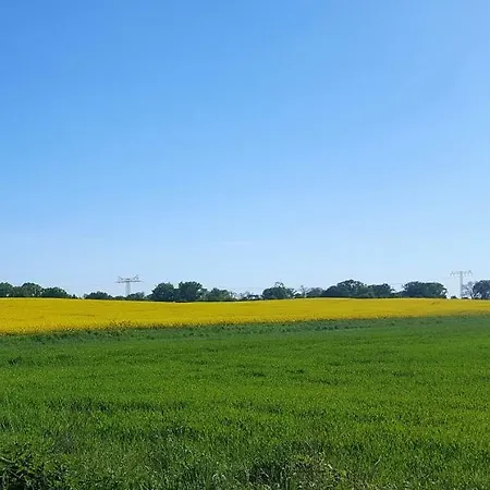 Urte In , Kap Arkona Ruegen Апартаменты